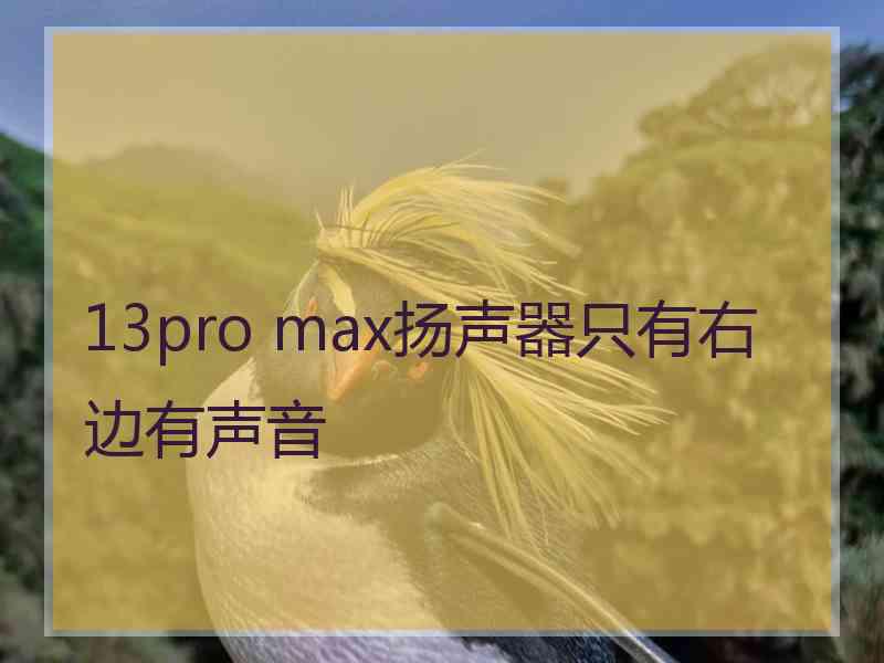 13pro max扬声器只有右边有声音