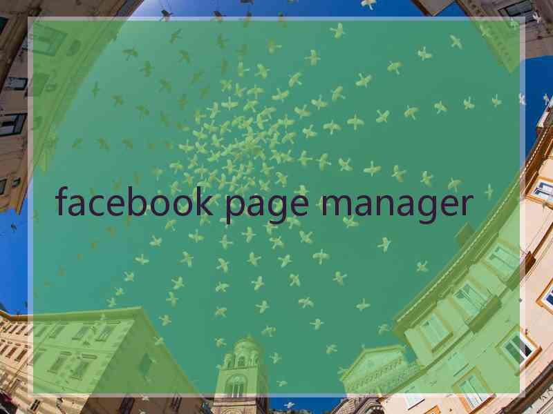 facebook page manager