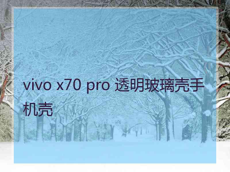 vivo x70 pro 透明玻璃壳手机壳