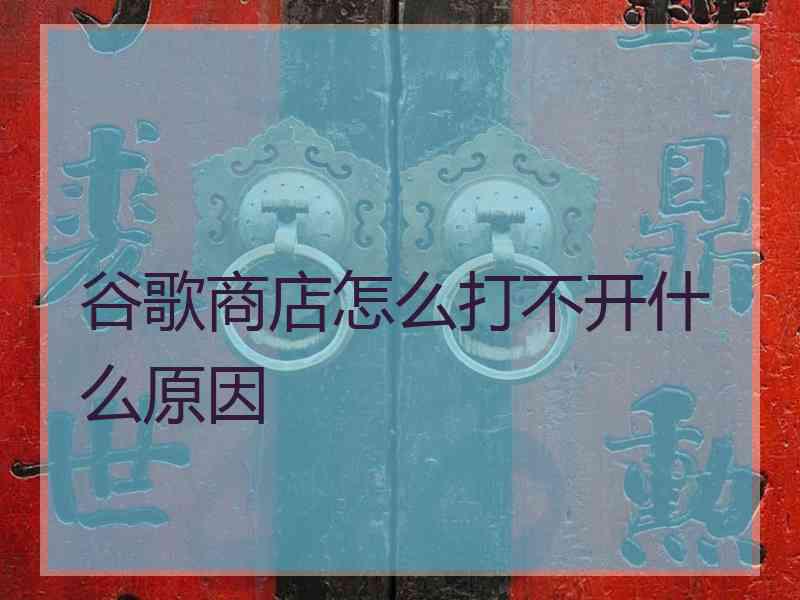 谷歌商店怎么打不开什么原因