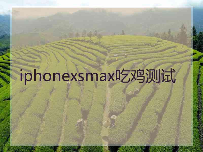 iphonexsmax吃鸡测试