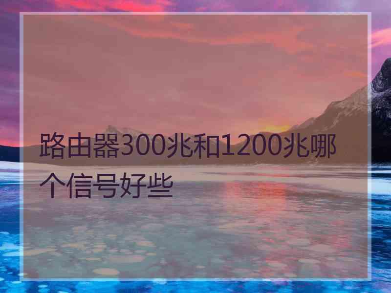 路由器300兆和1200兆哪个信号好些