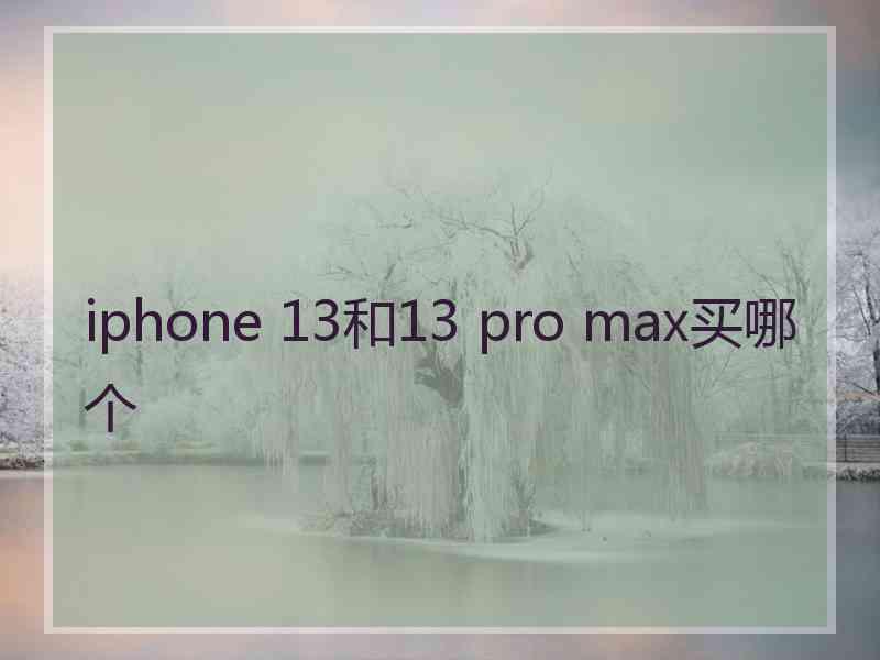 iphone 13和13 pro max买哪个