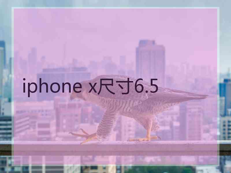 iphone x尺寸6.5