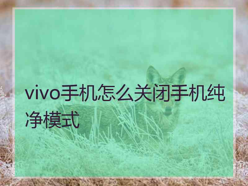 vivo手机怎么关闭手机纯净模式