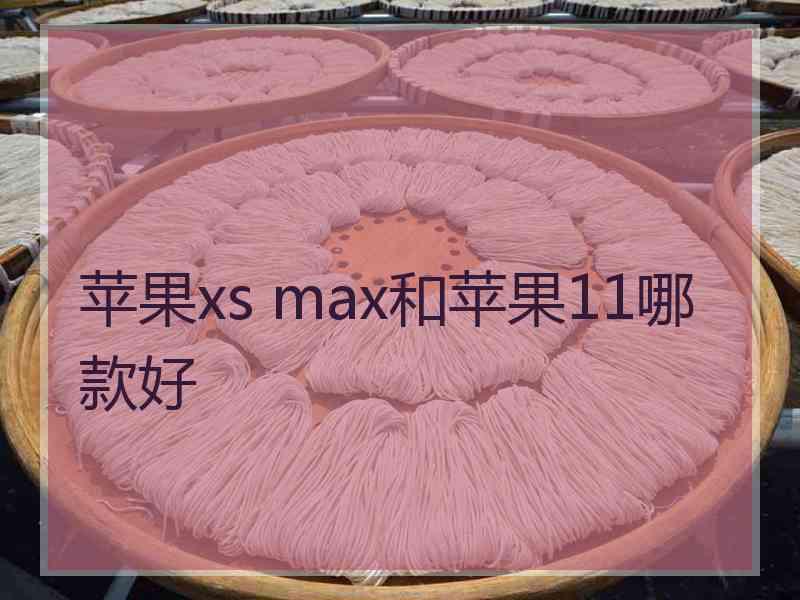 苹果xs max和苹果11哪款好