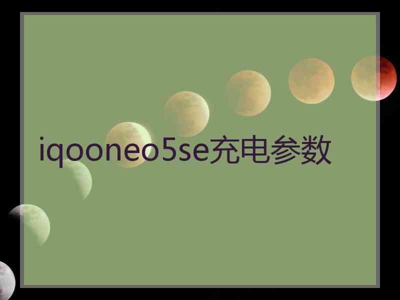 iqooneo5se充电参数