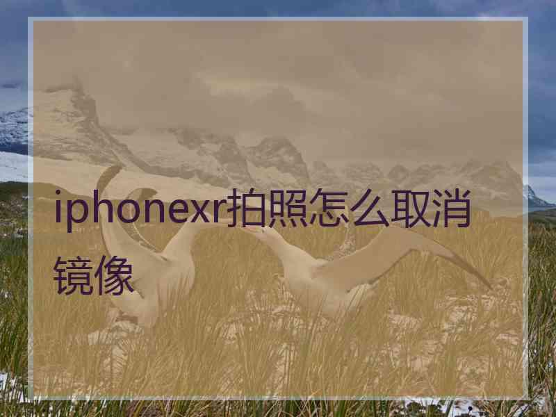 iphonexr拍照怎么取消镜像