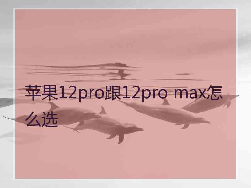 苹果12pro跟12pro max怎么选