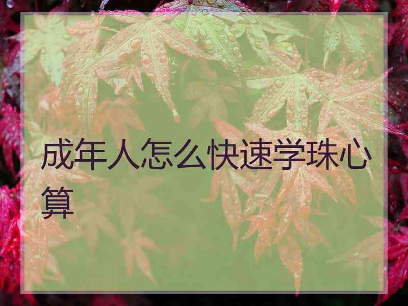 成年人怎么快速学珠心算