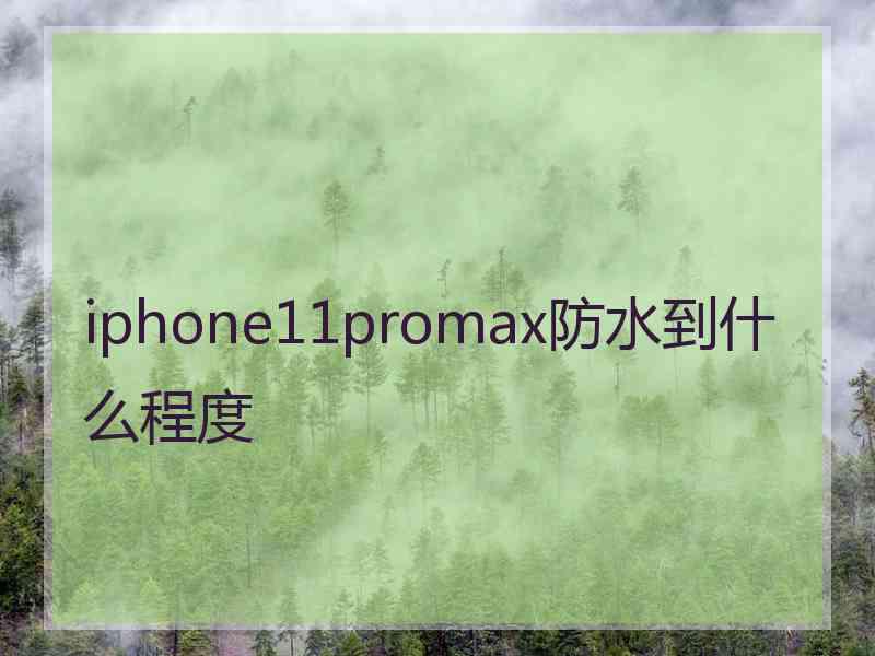 iphone11promax防水到什么程度