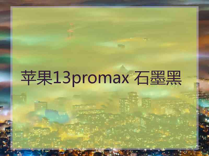 苹果13promax 石墨黑