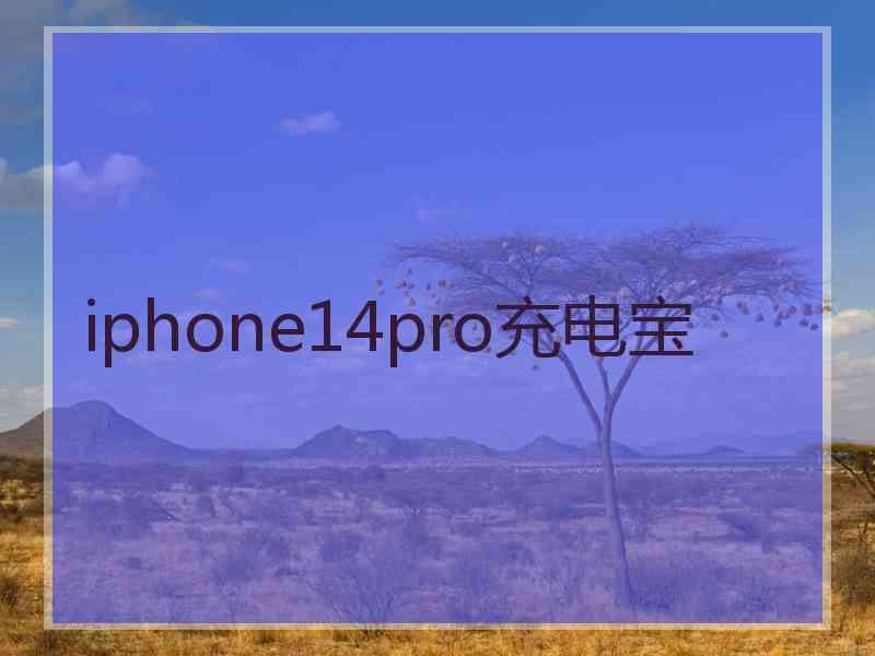 iphone14pro充电宝