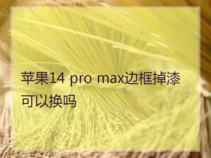 苹果14 pro max边框掉漆可以换吗