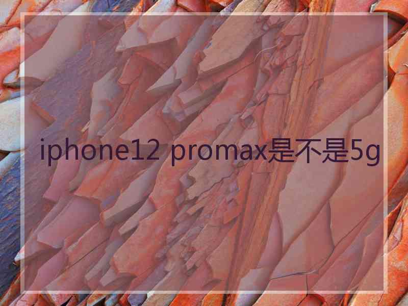 iphone12 promax是不是5g