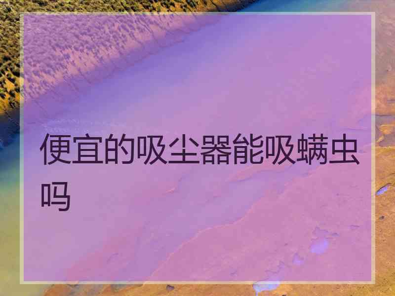 便宜的吸尘器能吸螨虫吗