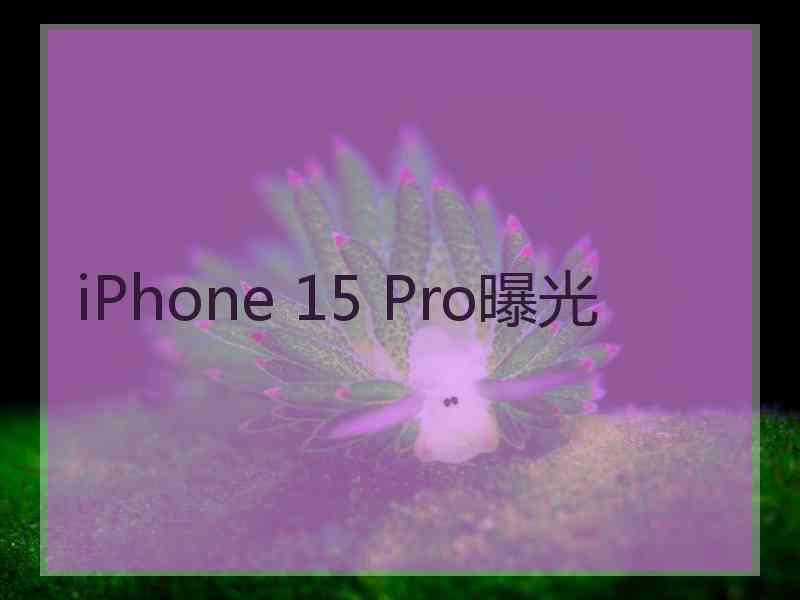 iPhone 15 Pro曝光