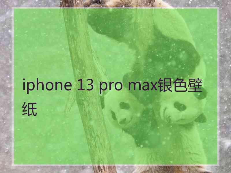 iphone 13 pro max银色壁纸