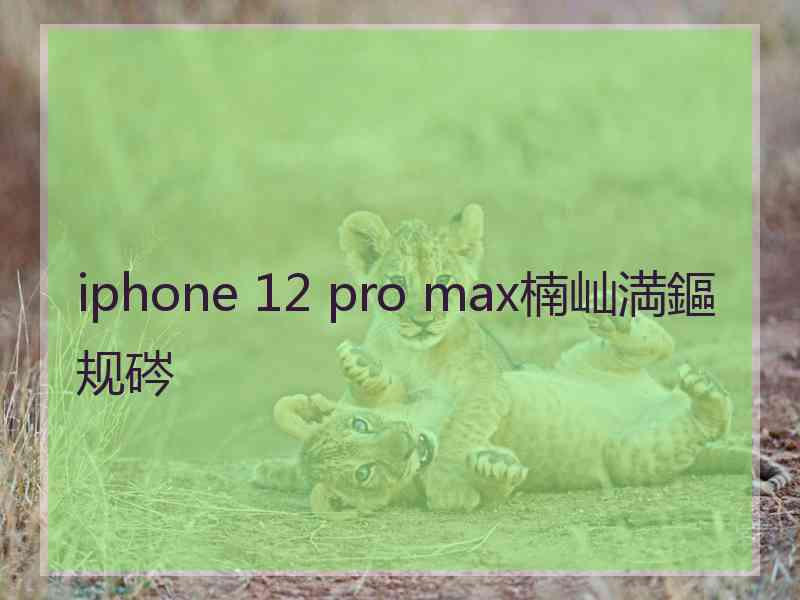 iphone 12 pro max楠屾満鏂规硶