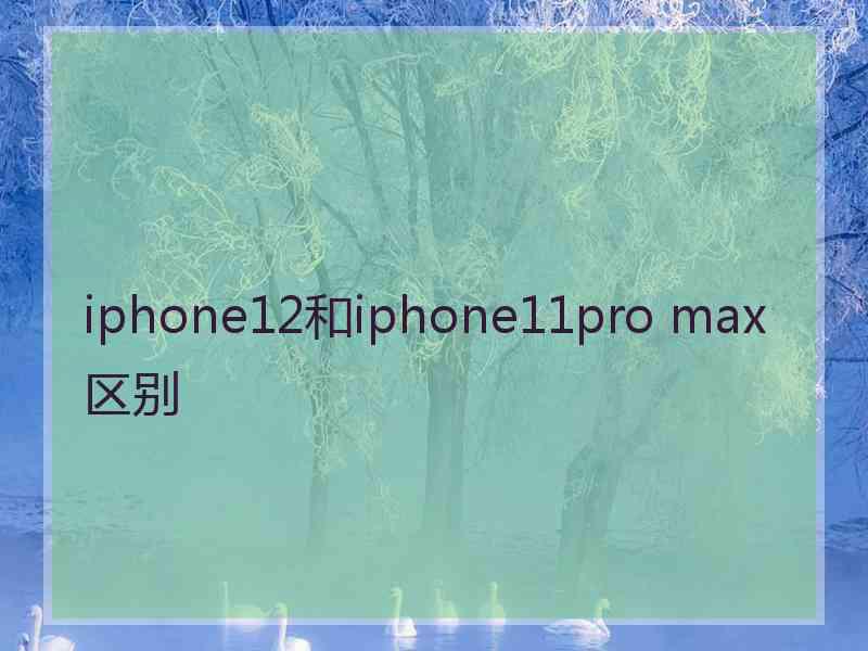 iphone12和iphone11pro max区别