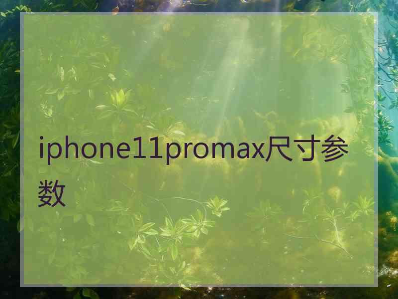 iphone11promax尺寸参数