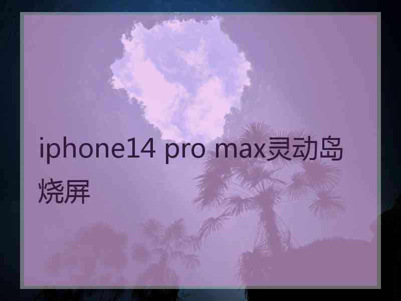 iphone14 pro max灵动岛烧屏