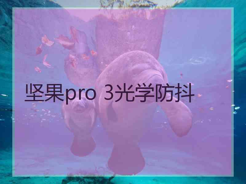 坚果pro 3光学防抖