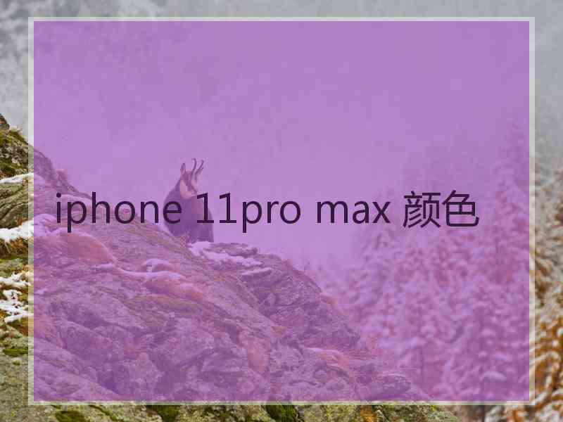 iphone 11pro max 颜色