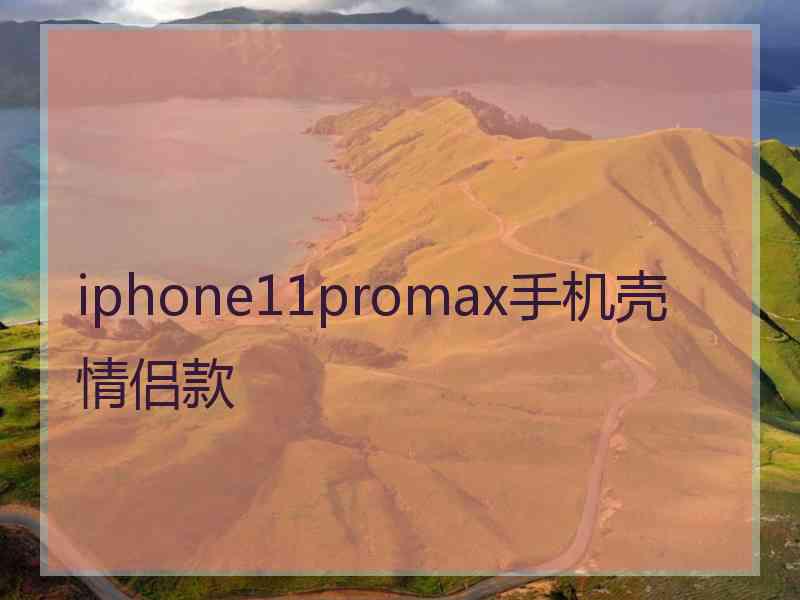 iphone11promax手机壳情侣款