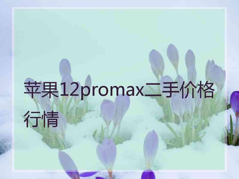 苹果12promax二手价格行情