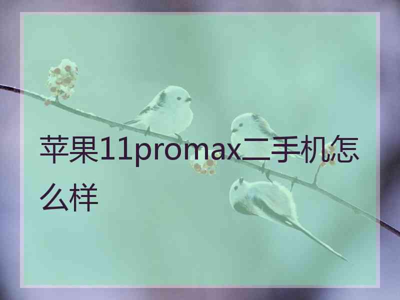 苹果11promax二手机怎么样