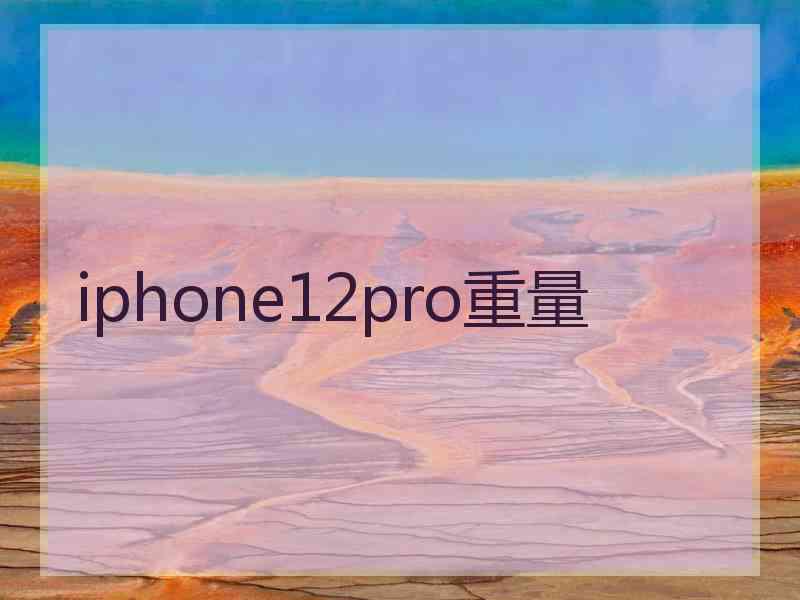 iphone12pro重量