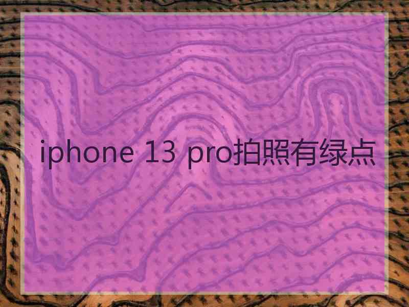 iphone 13 pro拍照有绿点