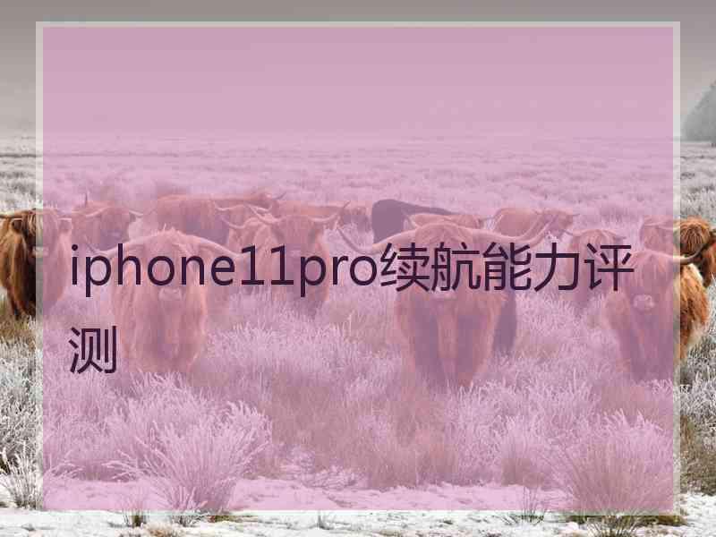 iphone11pro续航能力评测