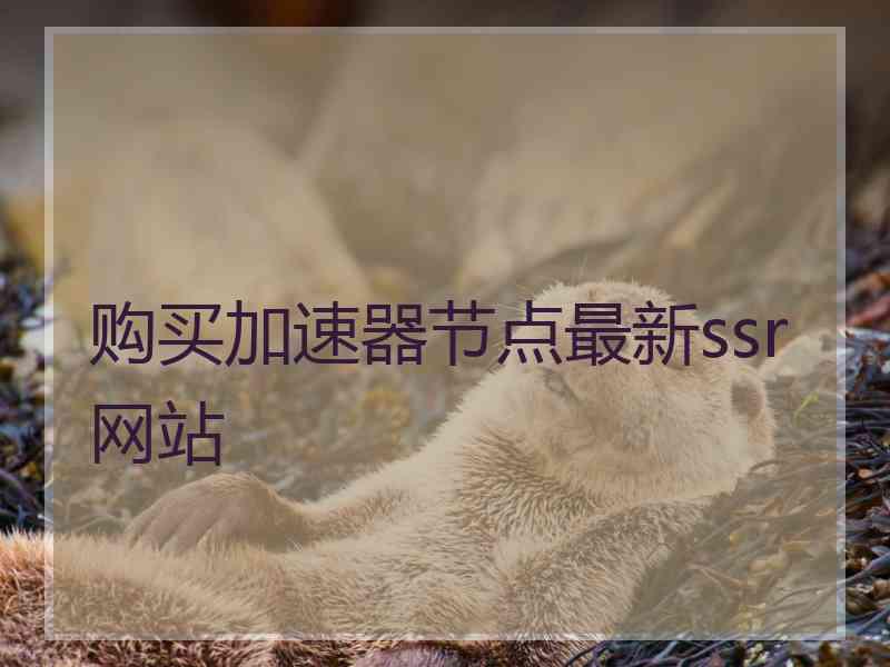 购买加速器节点最新ssr网站