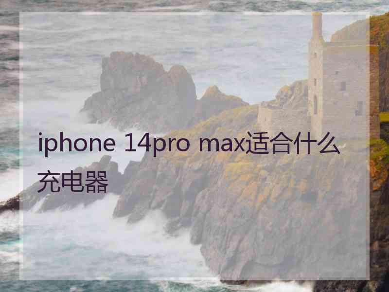 iphone 14pro max适合什么充电器