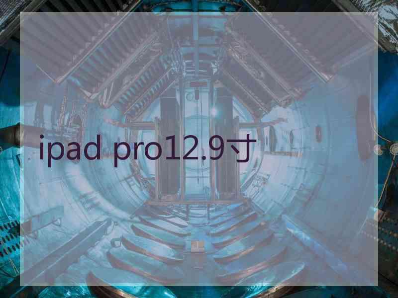 ipad pro12.9寸