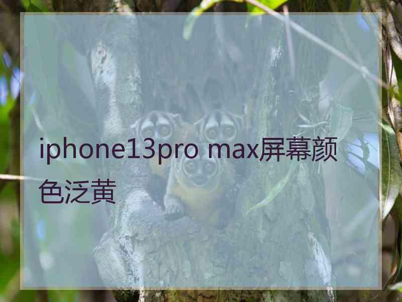 iphone13pro max屏幕颜色泛黄