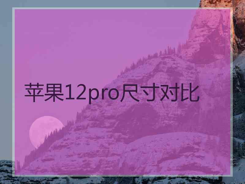 苹果12pro尺寸对比