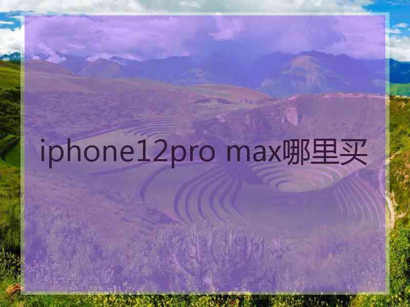 iphone12pro max哪里买