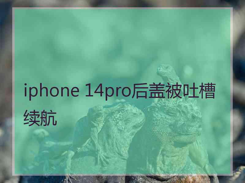 iphone 14pro后盖被吐槽续航