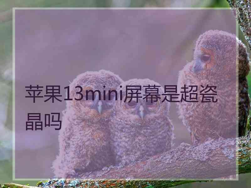 苹果13mini屏幕是超瓷晶吗