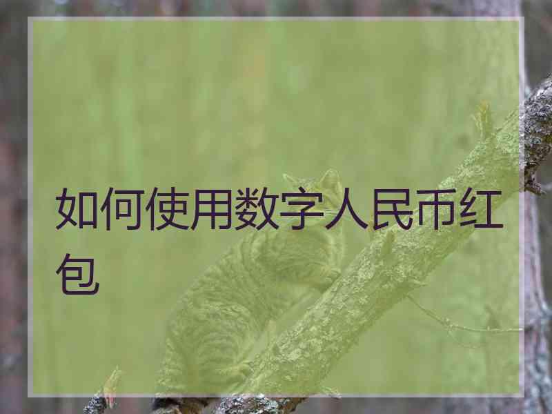 如何使用数字人民币红包