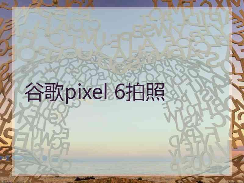 谷歌pixel 6拍照