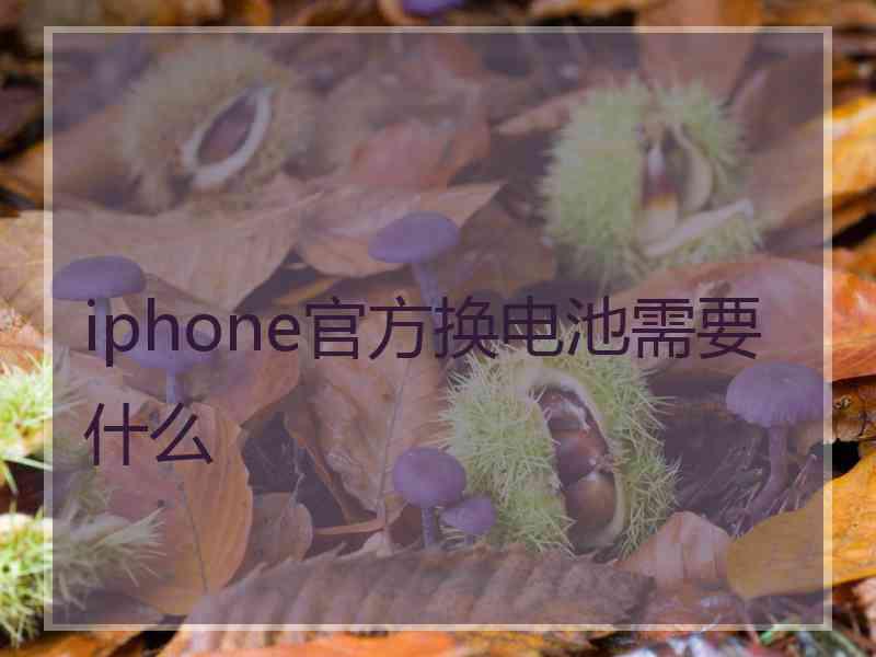 iphone官方换电池需要什么