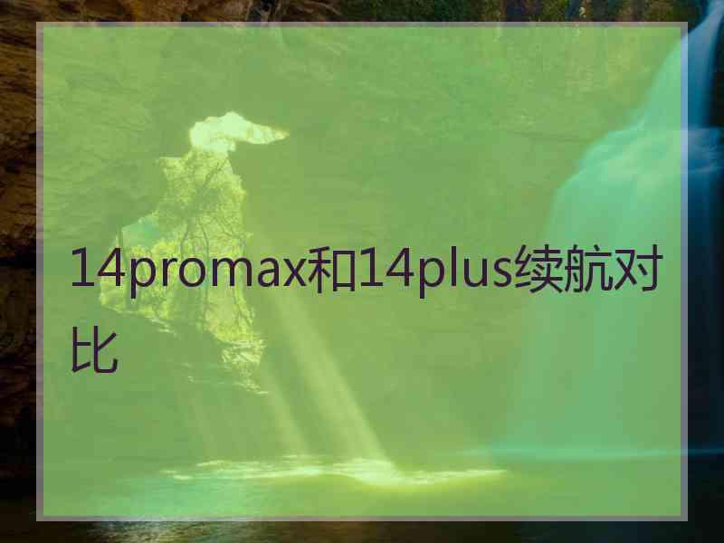 14promax和14plus续航对比