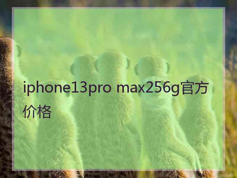 iphone13pro max256g官方价格