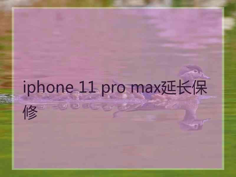 iphone 11 pro max延长保修