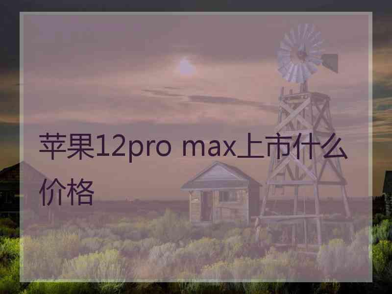 苹果12pro max上市什么价格