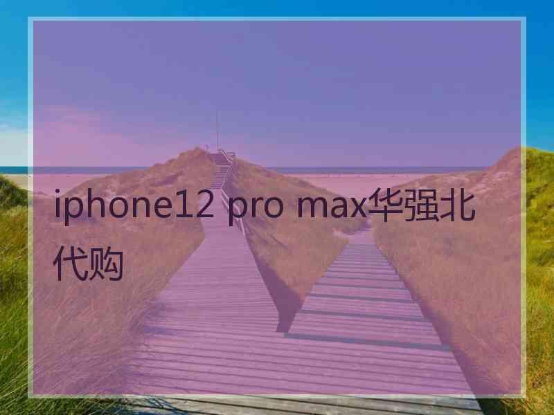 iphone12 pro max华强北代购